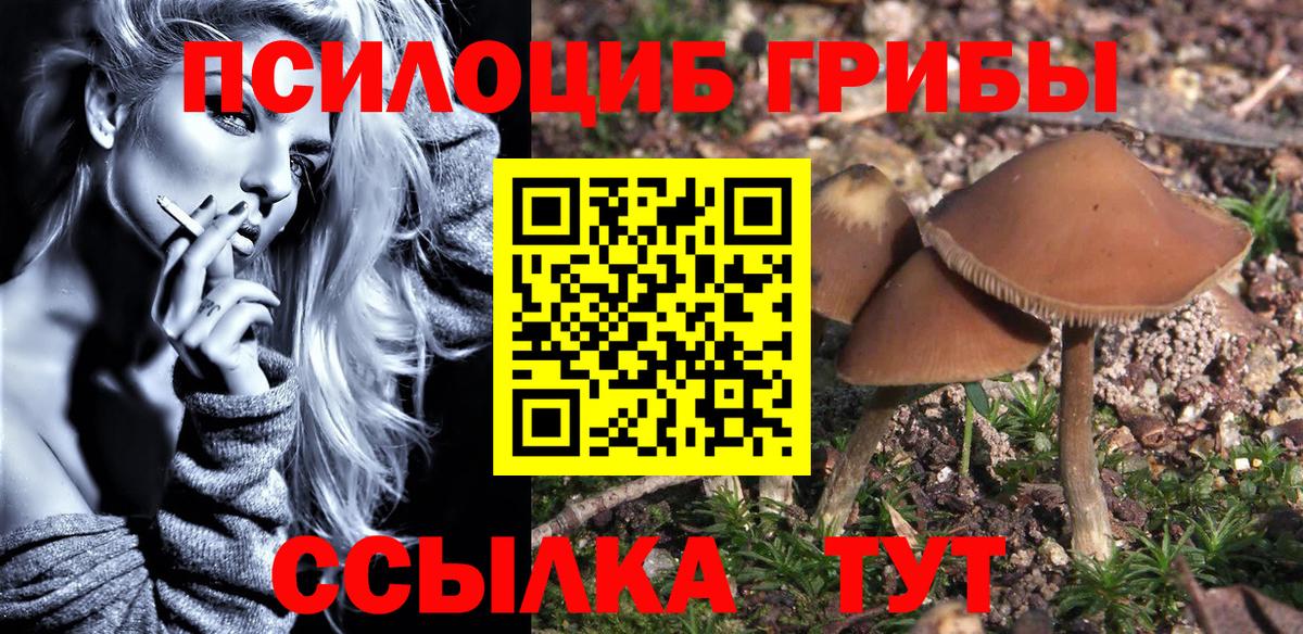 наркота  Вход с VPN  Ступино  Псилоцибиновые грибы Psilocybine cubensis  Псилоцибиновые грибы Cubensis 